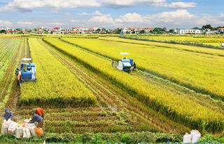 Nông nghiệp trước sóng hội nhập: Nỗ lực vượt khó