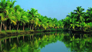 Thi ảnh vẻ đẹp du lịch Xứ Dừa