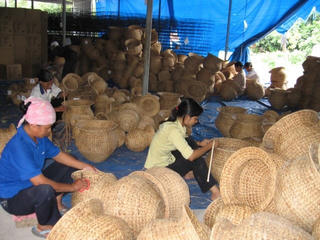 Đẩy mạnh thi hành Luật Hợp tác xã