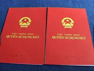 Giao trứng cho ác