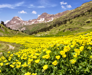 [ẢNH] 15 địa điểm có mùa xuân đẹp nhất thế giới 