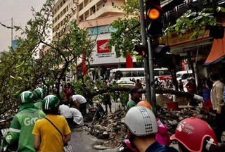 Đang đi đường, người phụ nữ bị cây đổ đè lên người