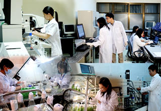 Tăng quỹ lương để thu hút 'chất xám'