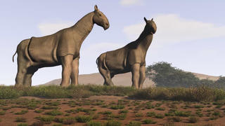 Chân dung những loài động vật thời tiền sử