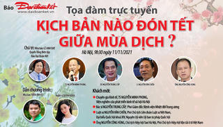 Tọa đàm trực tuyến: 'Kịch bản' nào đón Tết giữa mùa dịch?