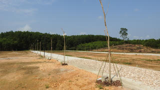 Quảng Trị: Chưa chuyển đổi mục đích đã phân lô bán nền trên đất trồng cây