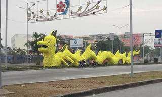 Hải Phòng khẩn cấp gỡ 'rồng lai pikachu'