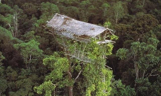 Bộ tộc Korowai
