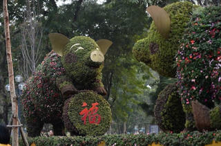 Người dân thích thú chụp ảnh với ‘chú heo vui vẻ’ làm bằng hoa lập thể khổng lồ