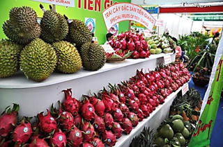 Sạn hội chợ