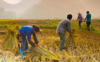 Dồn sức cho nông nghiệp