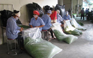 Bạc Liêu nhân rộng mô hình hợp tác xã kiểu mới