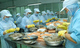 Ngáng chân doanh nghiệp