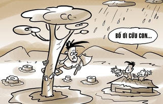 Giải trí (5/11)