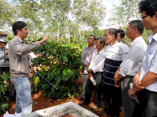 Ứng dụng công nghệ cao  phát triển cây cà phê