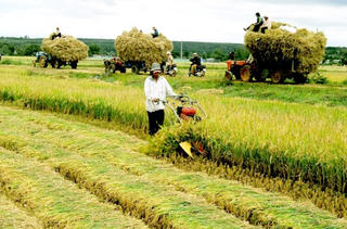 Vì sao doanh nghiệp ít đầu tư vào nông nghiệp?