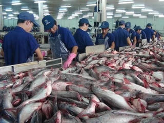 Thị trường thủy sản dồi dào
