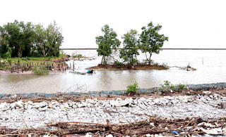 Cấp bách giữ đê biển Tây