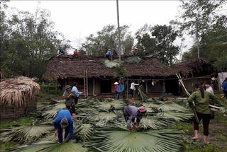 Dông, lốc và mưa lớn gây thiệt hại nặng nề