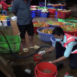 Thu giữ hơn 6 tấn cà rốt ngâm hóa chất