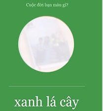 Cuộc đời màu gì?
