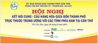 Kết nối cung cầu hàng hóa giữa 4 thành phố trực thuộc Trung ương và các tỉnh, phía Nam