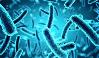 Sử dụng vi khuẩn để xử lý chất thải điện tử độc hại