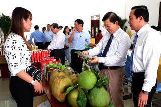 Tổ chức có hiệu quả các phong trào, các cuộc vận động