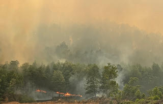Thừa Thiên – Huế: Lập sở chỉ huy tiền phương triển khai phương án chữa cháy rừng
