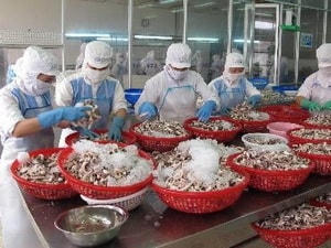 Xuất khẩu thủy sản giảm