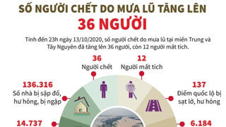 [Infographics] Số người chết do mưa lũ tăng lên 36 người