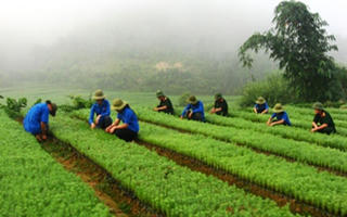 Chương trình Trí thức khoa học trẻ tình nguyện TP HCM lần VII