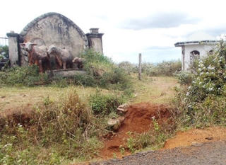 Dự án triệu đô bị bỏ hoang