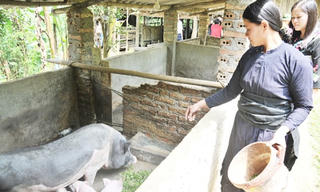 Mạnh tay với chất cấm