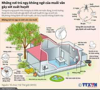 [Infographics] Loại bỏ nơi trú ngụ của muỗi vằn gây sốt xuất huyết