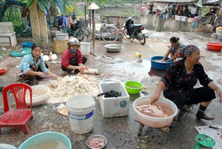 Ẩn họa từ việc giết mổ gia cầm tràn lan
