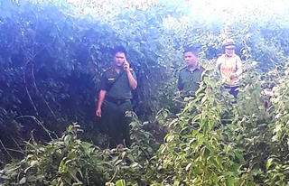 [NÓNG] Đã bắt được nghi phạm hiếp, giết bé gái chăn bò