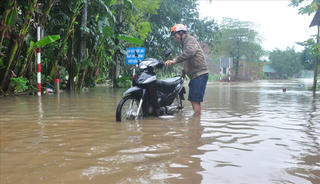 Mưa lớn chia cắt nhiều tuyến đường tại Quảng Ngãi