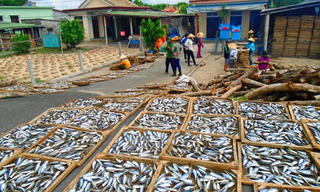 Quảng Trị vướng hỗ trợ ngư dân