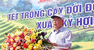 Tổng Bí thư, Chủ tịch nước: Trồng thêm cây xanh góp phần hạn chế ô nhiễm môi trường