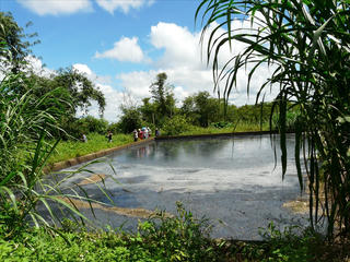 Đắk Lắk: Nhà máy chế biến mủ cao su đảm bảo tiêu chuẩn về môi trường