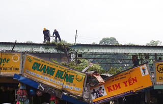 Cành cổ thụ đè sập 2 cửa hàng ở trung tâm TP HCM