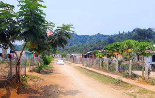 Quảng Nam: Làng Thanh niên lập nghiệp bình yên giữa đại dịch