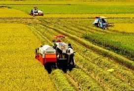 Giải bài toán hiện đại hóa nông nghiệp