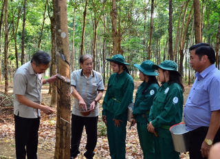 Công ty Cao su Việt Lào được tặng thưởng danh hiệu “Anh hùng Lao động” thời kỳ đổi mới