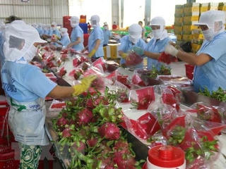 Thúc đẩy thương mại nông sản Việt Nam - Trung Quốc