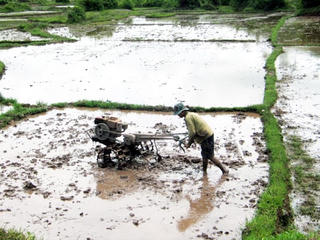 Xóa bỏ hạn điền cùng cơ chế cho nông dân