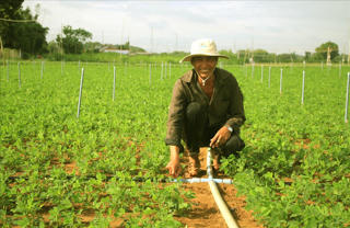 Trà Vinh -Vượt qua thách thức, vươn mình phát triển