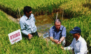 Giáo sư nông học Võ Tòng Xuân được Nhật Bản trao tặng Huân chương cao quý