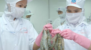 Mổ xẻ điểm yếu xuất khẩu thủy sản